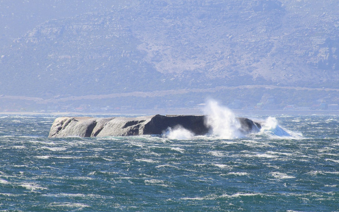 南海トラフ巨大地震