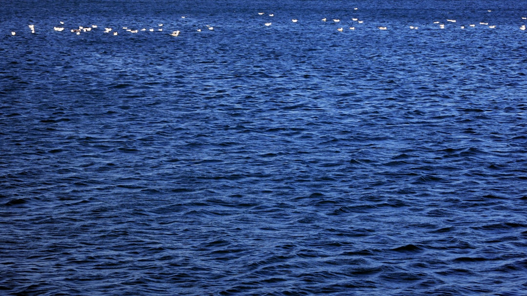 救命胴衣 釣り つり フローティング ベスト 救命 水遊び 海 ビーチ プール 大人用 夏用品 海水浴 安全 事故防止 防災用 海釣り 防災グッズ スタイリッシュ 鮎釣り 初心者 渓流釣り 魚釣り 川釣り 防災用品 船釣り aaa