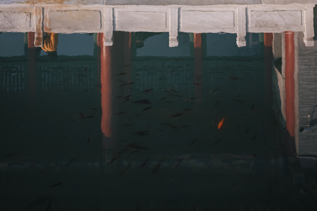 ばけばけ 池脇千鶴