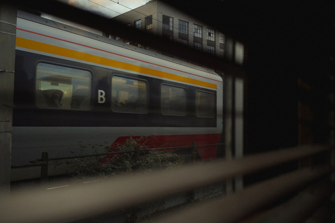 サカモトデイズ 実写映画