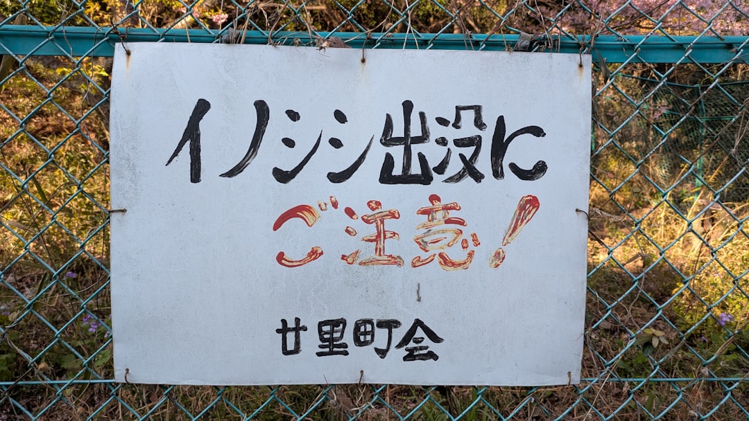 小泉進次郎 総裁選