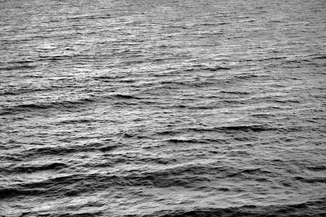 救命胴衣 釣り つり フローティング ベスト 救命 水遊び 海 ビーチ プール 大人用 夏用品 海水浴 安全 事故防止 防災用 海釣り 防災グッズ スタイリッシュ 鮎釣り 初心者 渓流釣り 魚釣り 川釣り 防災用品 船釣り aaa