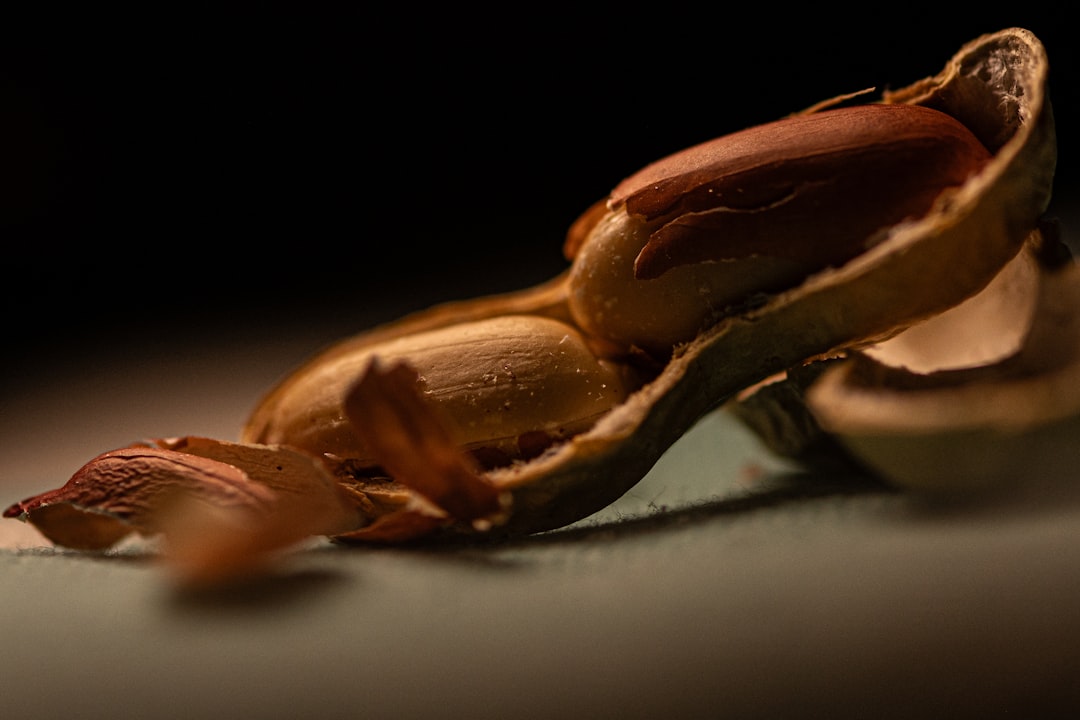 最強ちゃん ゴキブリ