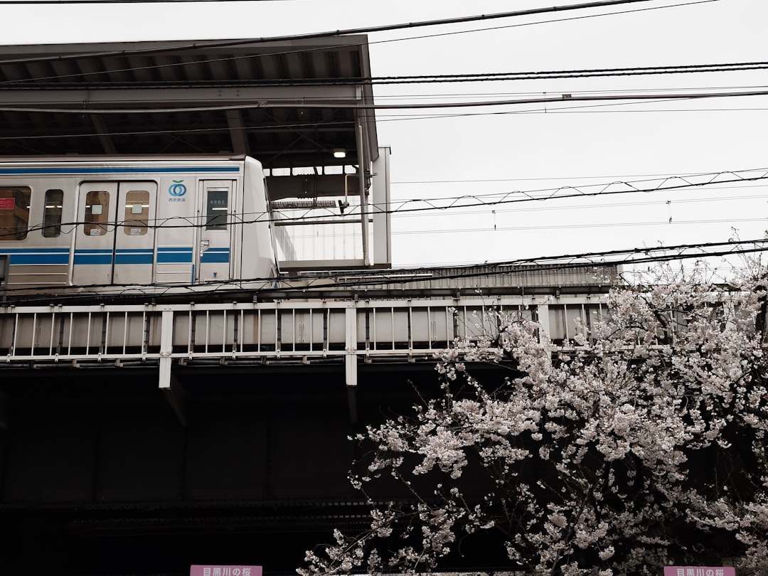 百田尚樹 河村たかし