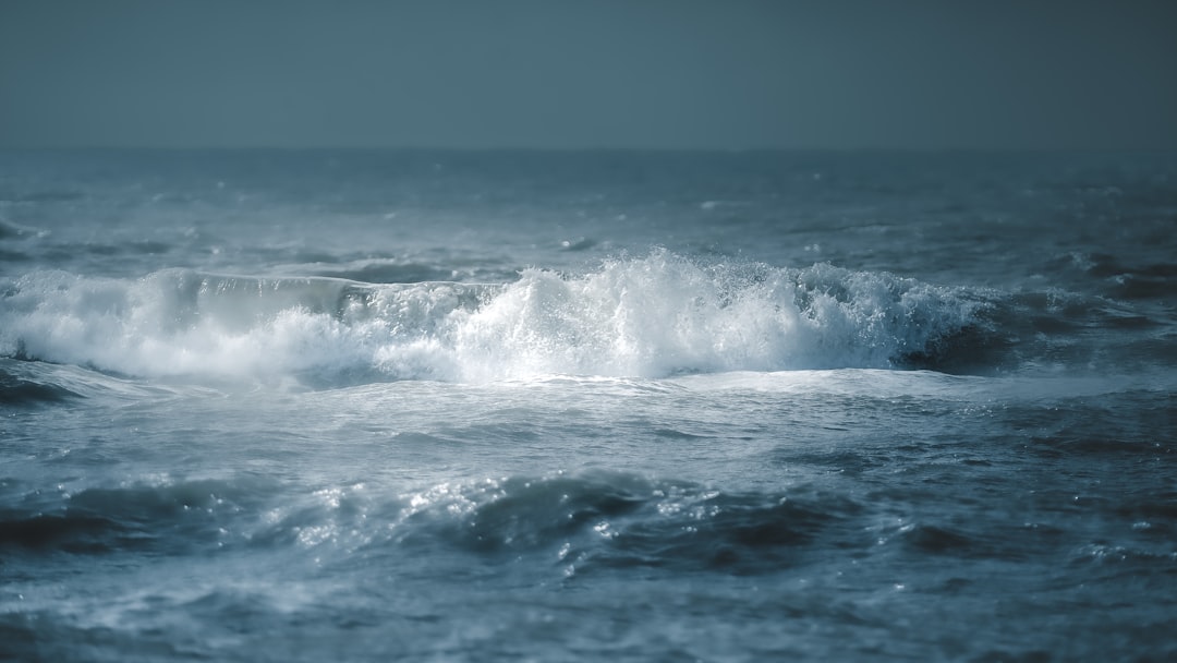 津波予報(若干の海面変動)