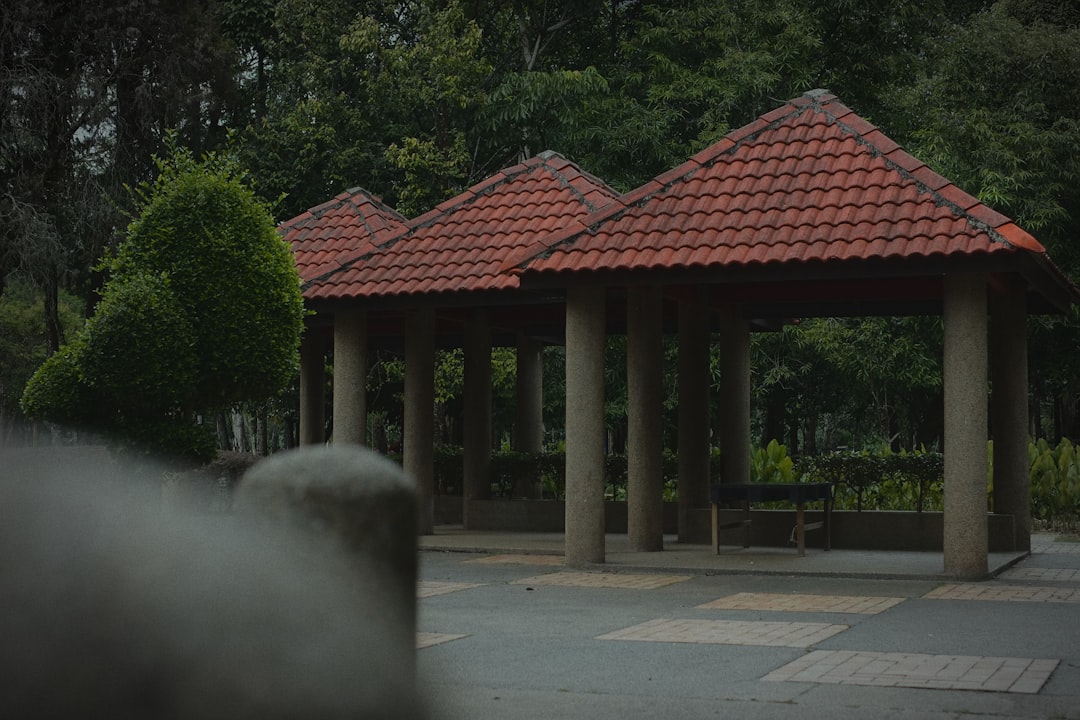 サカモトデイズ 実写映画