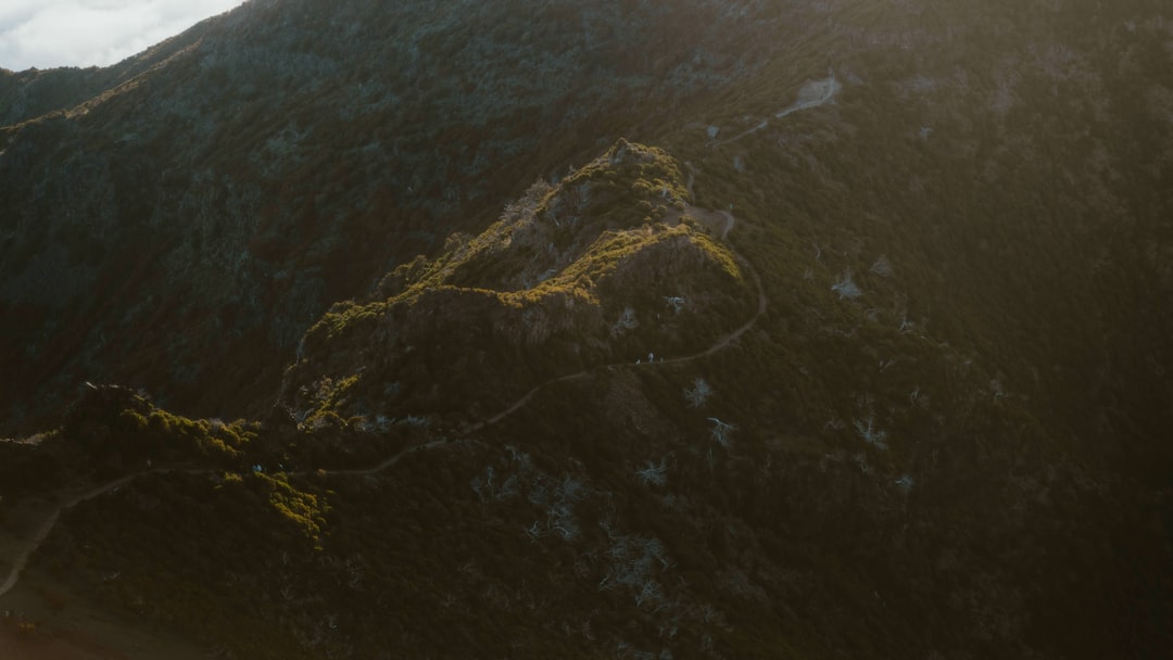 チェルノボグ 破滅をもたらす地雷系悪魔 超究極・傑 -壱の挑戦- モンスト 攻略