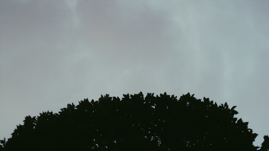 オリスラガース