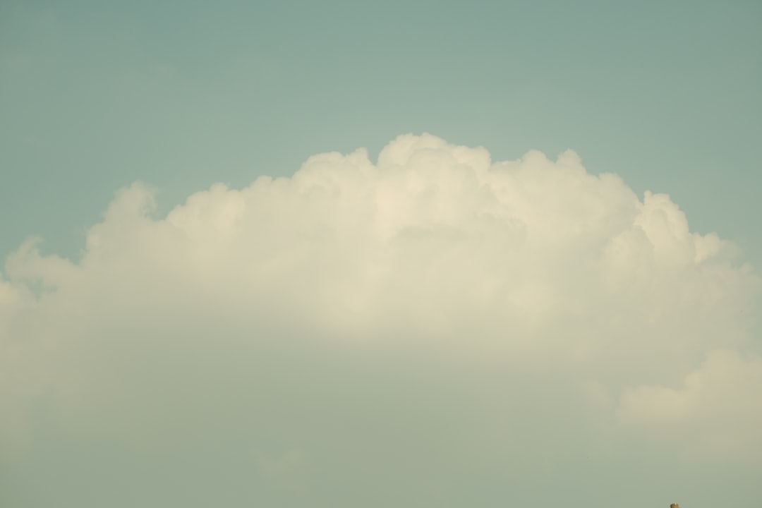 ケンタッキーフライドチキン