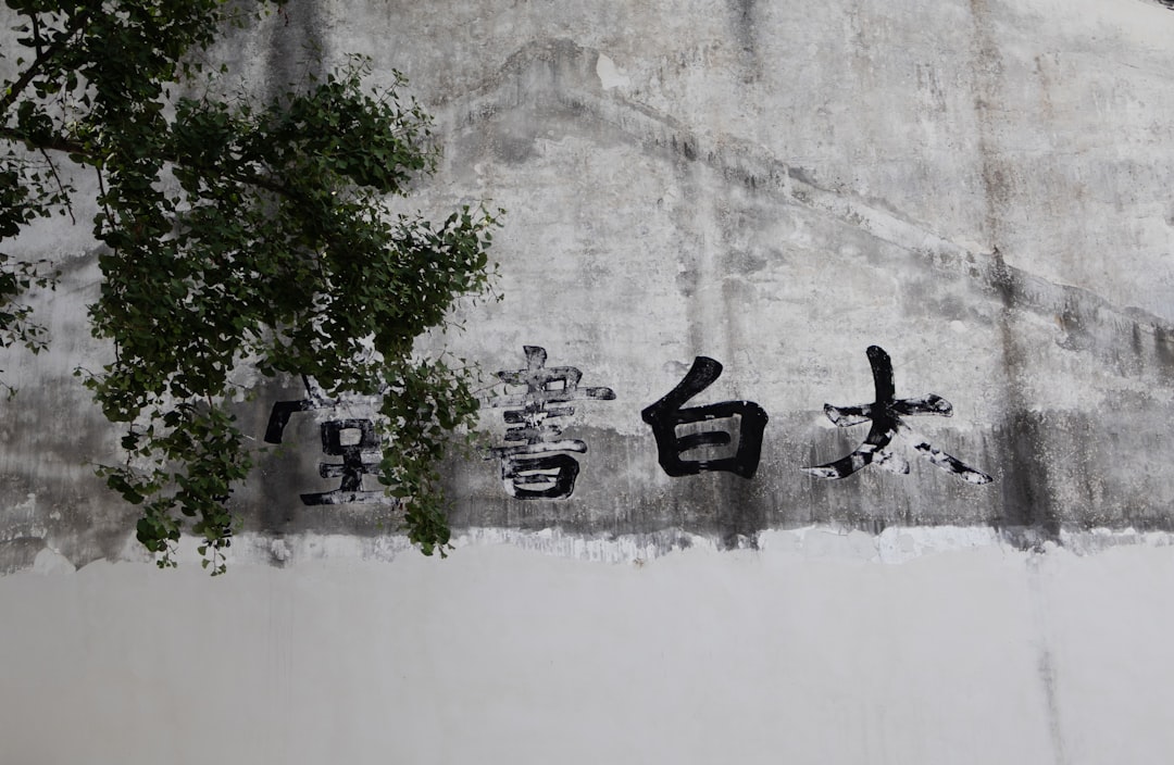 木村文乃 ラウール