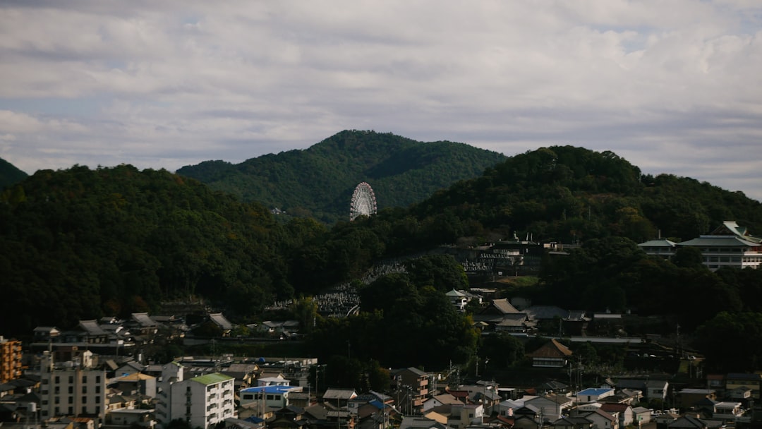 日本ハム 対 ロッテ
