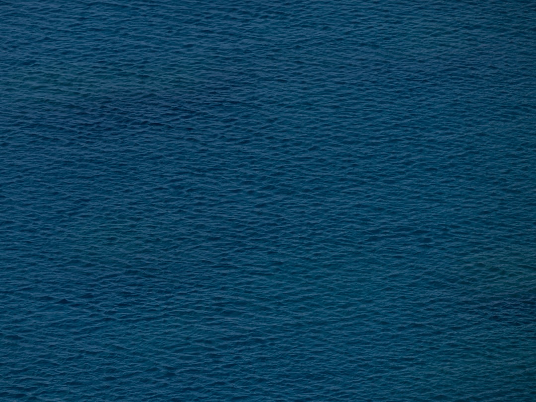 救命胴衣 釣り つり フローティング ベスト 救命 水遊び 海 ビーチ プール 大人用 夏用品 海水浴 安全 事故防止 防災用 海釣り 防災グッズ スタイリッシュ 鮎釣り 初心者 渓流釣り 魚釣り 川釣り 防災用品 船釣り aaa