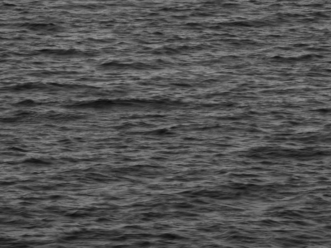 救命胴衣 釣り つり フローティング ベスト 救命 水遊び 海 ビーチ プール 大人用 夏用品 海水浴 安全 事故防止 防災用 海釣り 防災グッズ スタイリッシュ 鮎釣り 初心者 渓流釣り 魚釣り 川釣り 防災用品 船釣り aaa