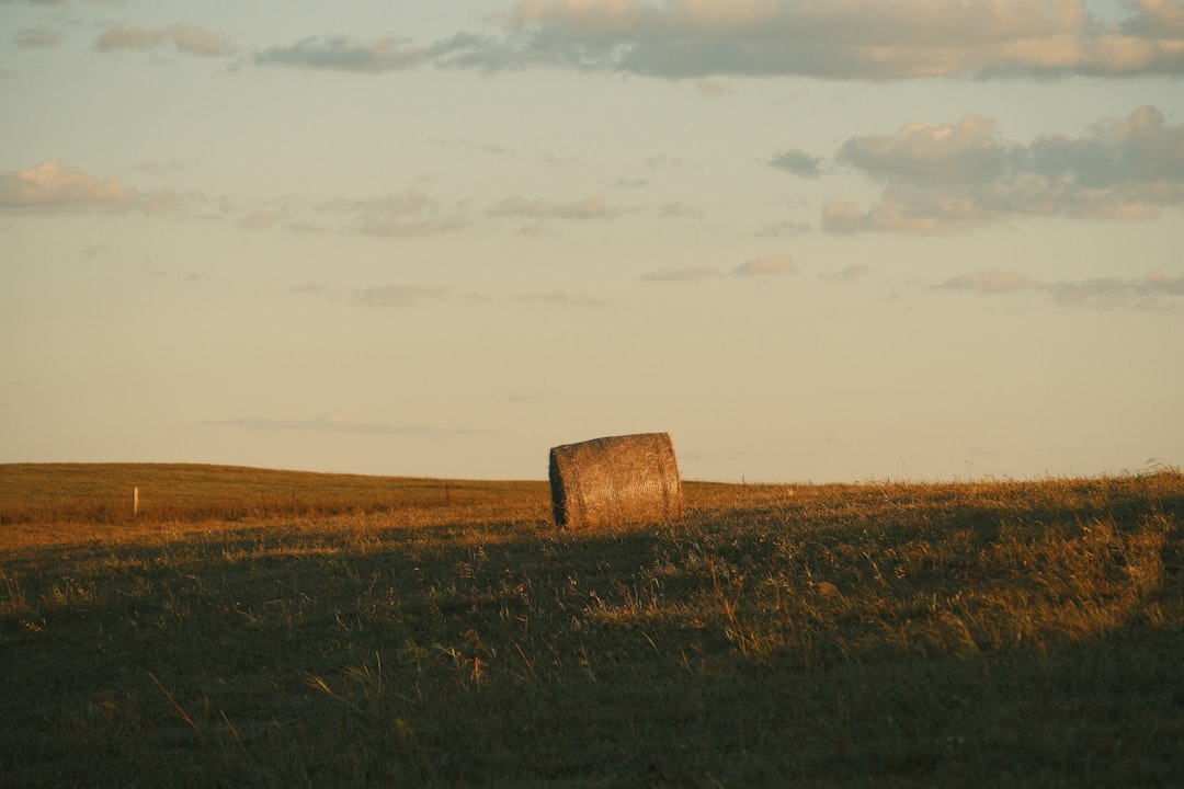 ブルーロック 実写映画