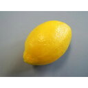 ＼エントリーで全品ポイント5倍！マラソン期間限定！／ 日本職人が作る 食品サンプル　レモン　IP-352【送料無料】