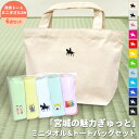 トートバッグ ミニタオル セット レディース 伊達政宗 グッズ 宮城 仙台 お土産 おみやげ 6点セット ハンカチタオル ミニトート 配れる 詰め合わせ 政宗 グッズ 仙台藩 騎馬像 七夕 こけし むすび丸 ワンポイント 推し活 テラコッタ