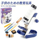 お買い物マラソン【P5倍】【学習用顕微鏡】自由研究に!小学生 子供用 ハンディ顕微鏡 120倍ズーム スマホ撮影用アダプター付 観察ノート