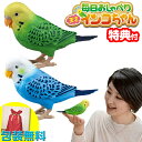 毎日おしゃべり 天才インコちゃん 音声認識人形 お話し人形 おしゃべりロボット 毎日お喋り しゃべる人形 天才インコチャン おもちゃ ギフト 脳トレ