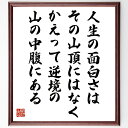名言「人生の面白さはその山頂にはなく、かえって逆境の、山の中腹にある」手書き書道色紙額／受注後の毛筆直筆（吉川英治 名言 格言 座右の銘 プレゼント 贈り物 お祝い 偉人 グッズ 心に響く 短い アニメ 壁掛け 書道 習字 直筆 手書き 意味 ～