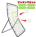 野球 ピッチングネット 投球練習用ネット 守備 リバウンドネット 軟式 硬式 対応 フィールディングトレーナー ピッチング 壁当て 壁あてトレーニング ピッチャー キャッチャー ベースボール メジャー 自主練 自宅練習 バレンタイン