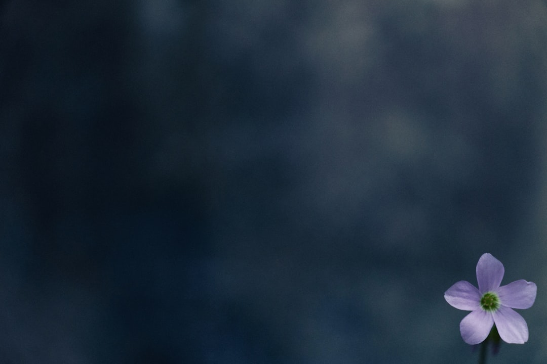 ワンパンマン 原作