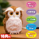 【選ぶ景品付き】 タカラトミー 開運アドバイザー ハッピーふくろう フクロウ 開運 占い 脳トレ 音声認識 コミュニケーション しゃべるぬいぐるみ 音声認識人形 話せる人形 歌うぬいぐるみ リズムゲーム ふくろう 鳥 かわいい フワフワ 動く