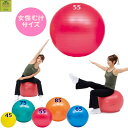 【平日15時まで即日発送】ボディボール 55【介護 高齢者 プレゼント敬老 骨粗しょう症 骨折 リハビリ トレーニング エクササイズ リハビリ ボール エクササイズ ボール ストレッチ ボール アンチバースト トレーニング ボール ボディ ボール 人気 トーエイライト】