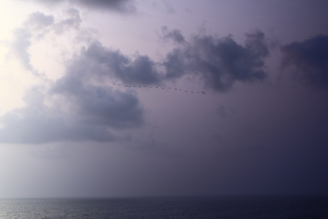 台風気象情報、台風第26号