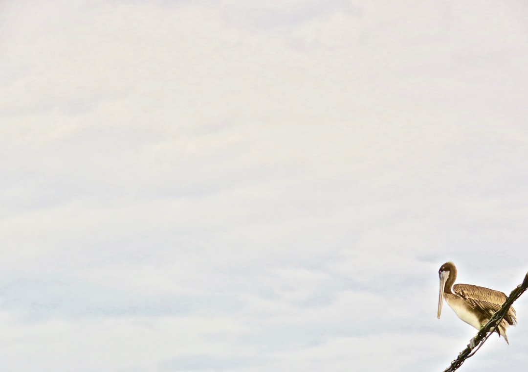 メンズ シャツ トップス ストライプ 長袖 スリム 着痩せ ブラウス シャツ 厚手 冬 裏ボア カジュアル シャツ 通勤 かっこいい トップス アウター 秋冬 アウター 旅行 パーティー 折り襟 保温 防寒 紳士服 Yj6x