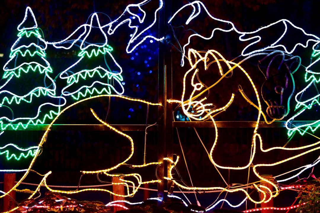 大人気商品 踊るサボテン 歌うサボテン 録音 サボテン おもちゃ 知育玩具 サボテン 真似するぬいぐるみ ダンシングサボテン 揺れ動くサボテン イタズラ玩具 面白いぬいぐるみ かわいい ギフトプレゼント 子供 クリスマス