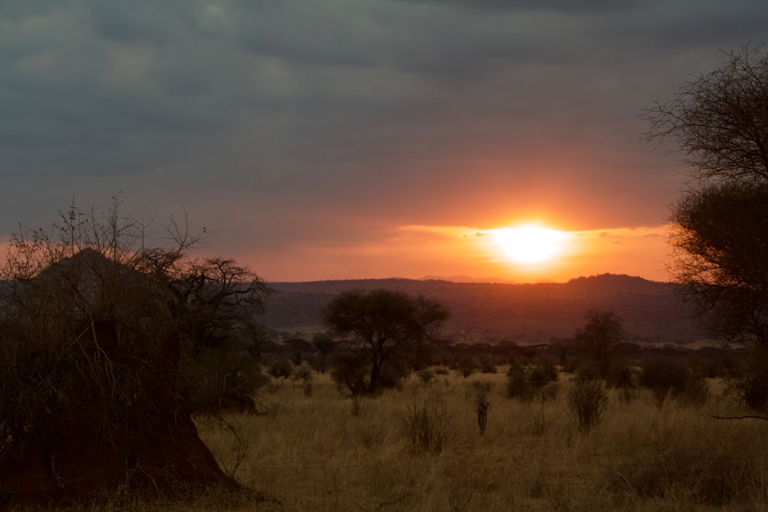 タンザニア 治安