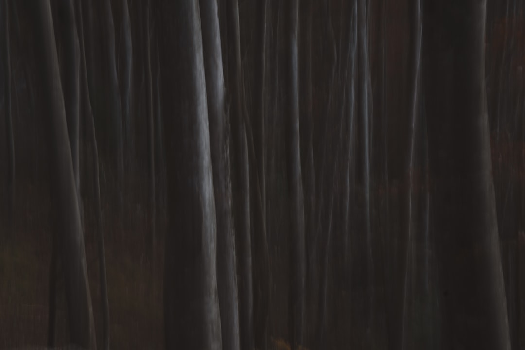 長袖 tシャツメンズ 秋服 メンズ Tシャツ カットソー ティーシャツ ハイネック セーター 丸首 快適 無地 長袖 大きい サイズ おしゃれ 刺? ロングtシャツ トップス 春 秋 冬