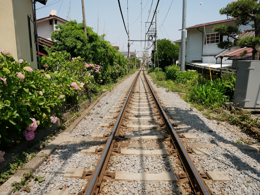東海道線 運転見合わせ