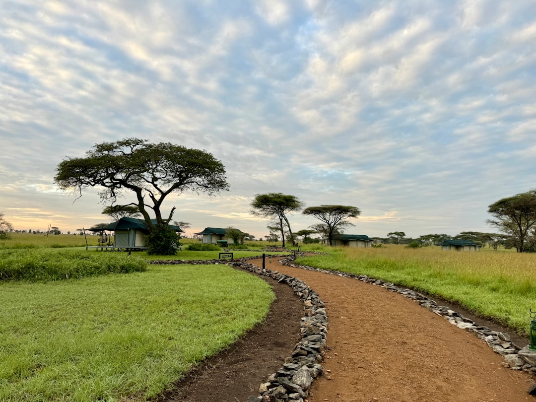 タンザニア 治安