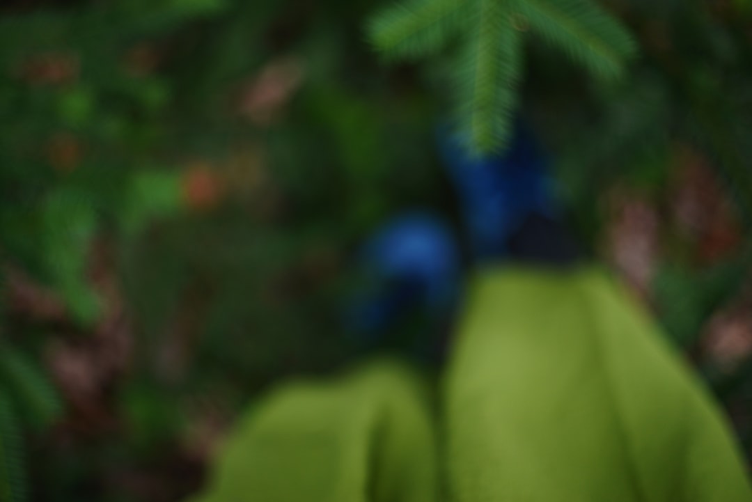 翌日発送 SNSで話題 踊るサボテン おもちゃ ダンスサボテン 揺動サボテン 面白い かわいい 笑い 友達 プレゼント 子供 悪趣味 歌 英語 緑 笑いもの 爆笑 踊るサボテン おもちゃ ダンスサボテン 揺動サボテン ぬいぐるみ いたずら 英語 緑 笑い