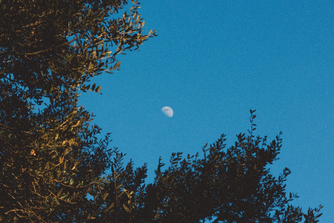 スーパームーン 満月