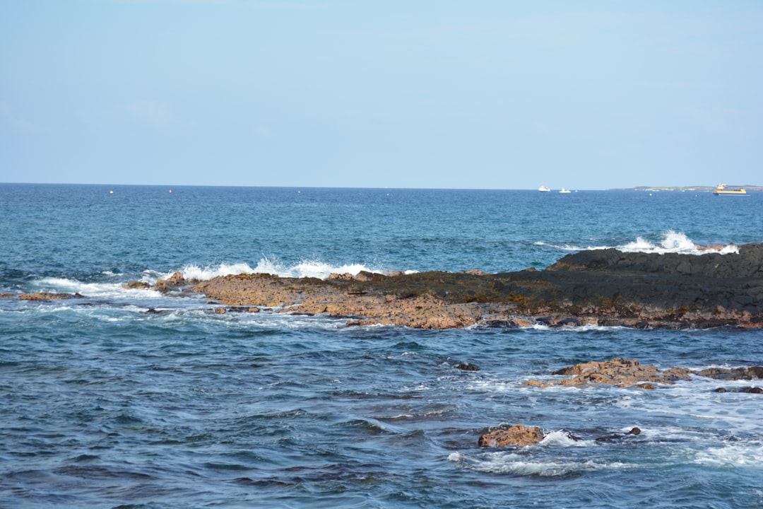 サンフレッチェ広島