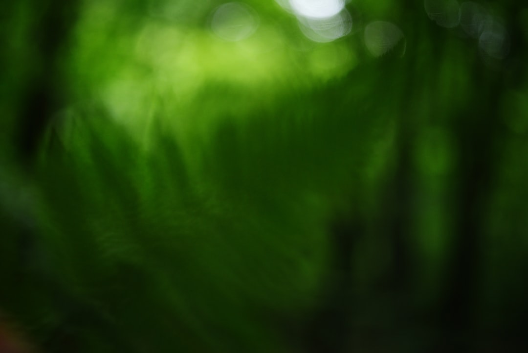 新垣邦男衆院議員