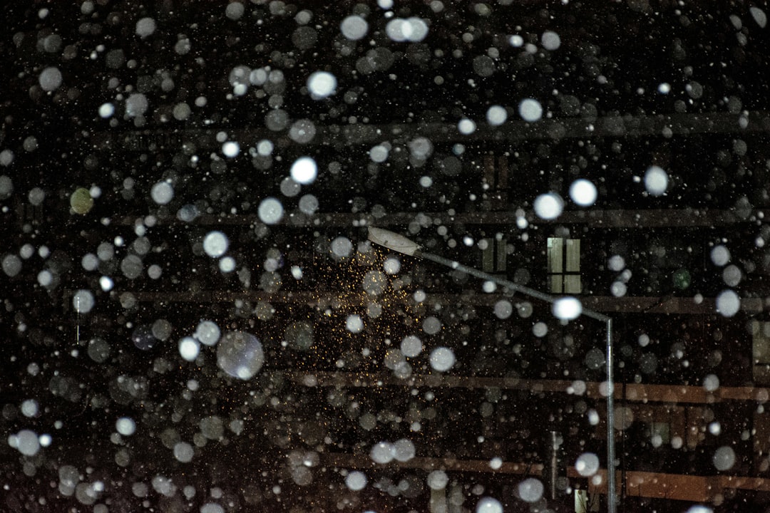 おおかみこどもの雨と雪 声優