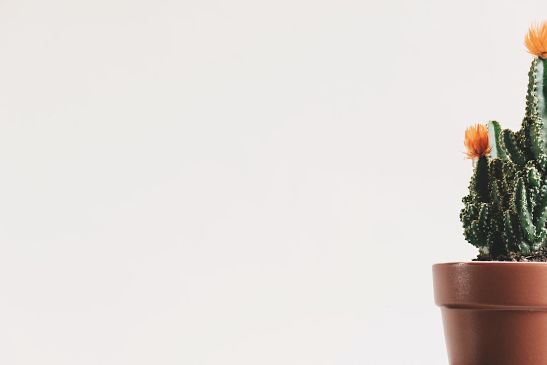 【送料無料】女子会 お出かけ デート 通勤 OL オフィス ラブリー 主役級 ガーリー きれいめ 大人可愛い かわいい りぼんタイ 付き