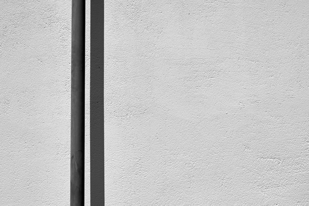 トップス ベスト ロング丈 袖なし ノースリーブ Vネック ストレート もこもこ ボア お得 かわいい 大人可愛い きれいめ シンプル カジュアル 大人 上品 おしゃれ かっこいい ラブリー キュート 無地 秋 冬 10代 20代 30代 40代 レディース ママ 個性的 送料無料 S M L XL