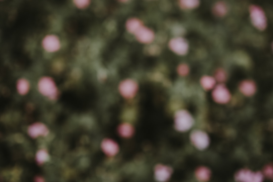 トップス セーター レディース 長袖 ラウンドネック プルオーバー ショート丈 ふわふわ きれいめ シンプル 上品 カジュアル こなれ感 個性的 主役級 存在感 秋 冬 ベーシック クール キュート フェミニン 清楚 送料無料 白 ピンク カーキ グレー ダークグレー フリーサイズ