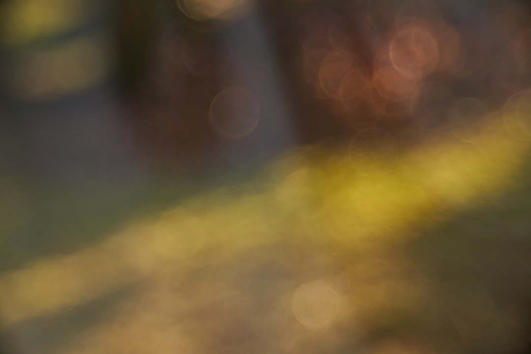 高齢者 ニットチョッキ ベスト レディース カーディガン あったか ふわふわ 柔らかい 保温 袖なし ゆったり 体型カバー ジャケット ブラウス コート ベーシック お誕生日プレゼント 敬老の日