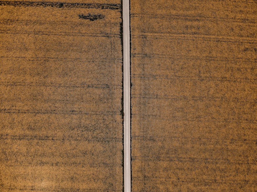 シアーボリュームスリーブセーター(5分袖)／センスオブプレイスバイアーバンリサーチ（SENSE OF PLACE）