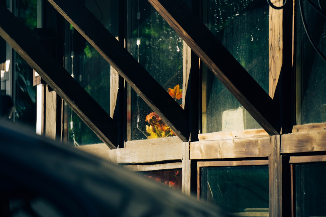 【送料無料】女子会 お出かけ デート 通勤 OL オフィス ラブリー 主役級 ガーリー きれいめ 大人可愛い かわいい りぼんタイ 付き