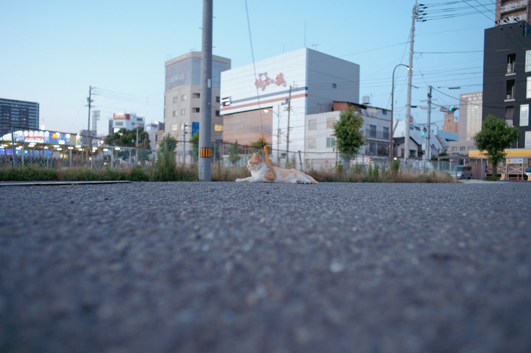 前田敦子 写真集