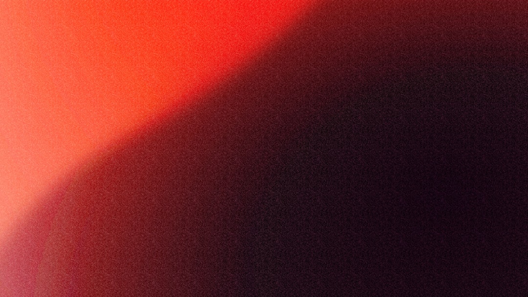 今日好き 卒業編2026