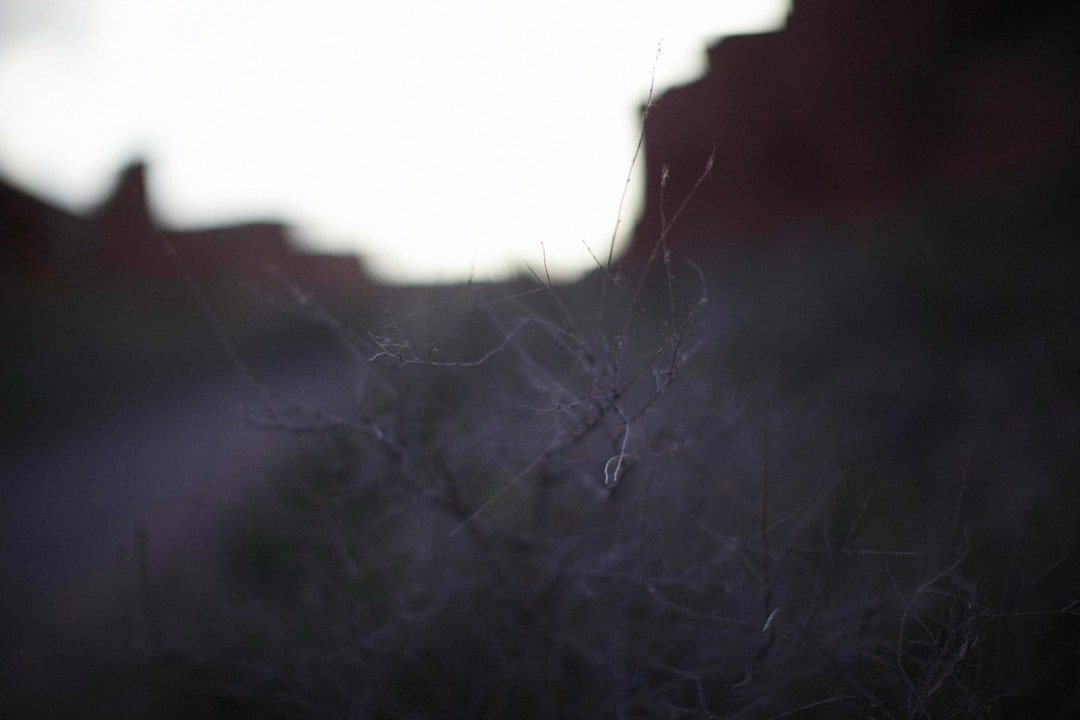 Self-Portrait セルフポートレート Black Melange Knit Cardigan カーディガン