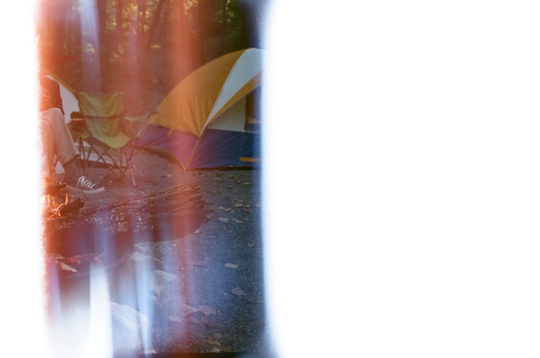 介護 介護用品 介護用 高齢者向け 高齢者 介護用寝具 介護寝具 介護服 おむつ 尿漏れ 吸水帯 安心 快適 入院 入院準備 おしゃれ オシャレ 介護 レディースアパレル ショーツ 下着 母 プレゼント 安心快適ショーツ(婦人)