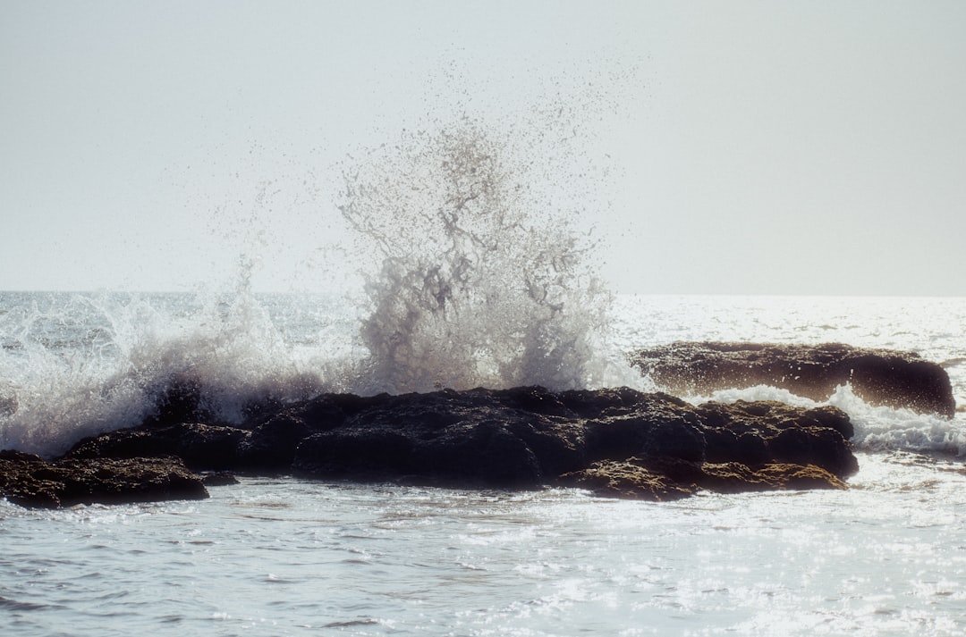 津波予報(若干の海面変動)